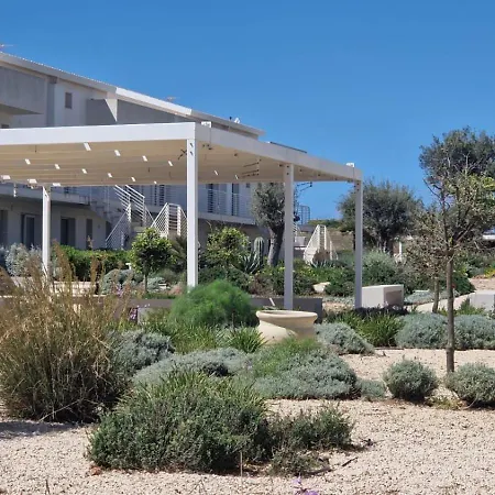 Oasis